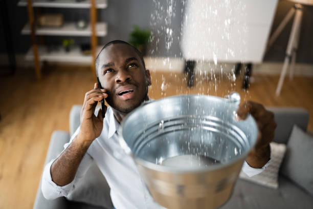  O, MI Water damage restoration Pros