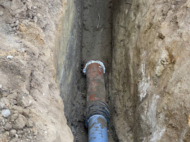 Best 24/7 water damage repair  in O, MI