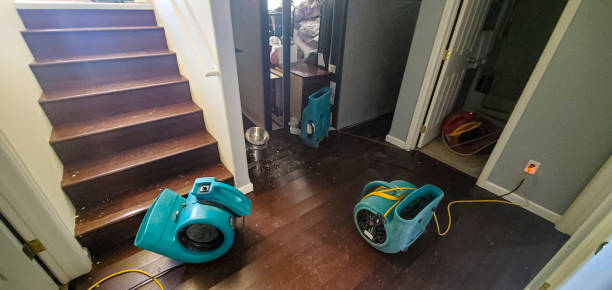 Best Carpet water damage restoration  in O, MI