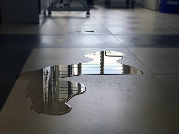 Best Professional water damage repair  in O, MI