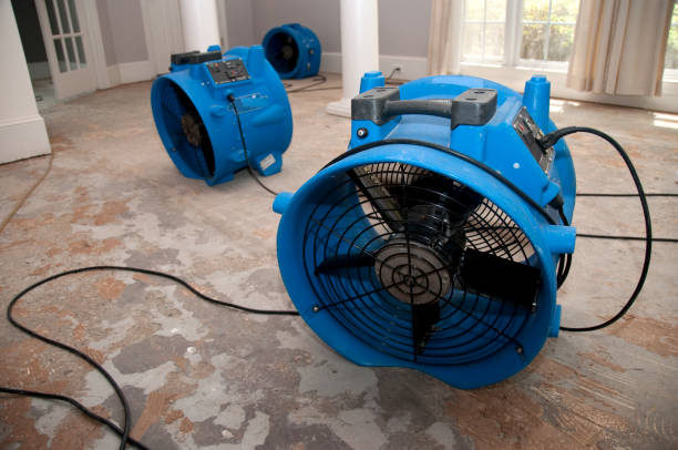 Water damage restoration mold remediation in MI