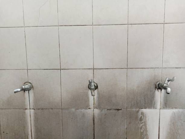 Best Emergency water damage restoration  in O, MI