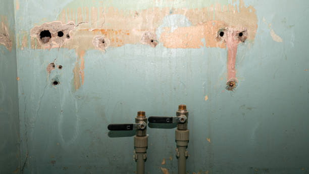 Best Basement water damage restoration  in O, MI