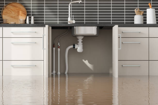 Best Professional water damage repair  in O, MI