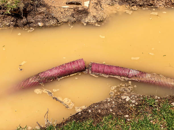 Best Sewage cleanup and water damage restoration  in O, MI