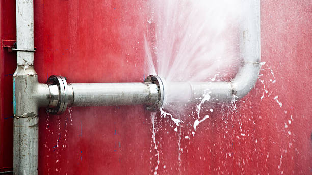 Best Basement water damage restoration  in O, MI